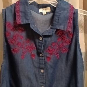 umgee buttoned down denim dress with pink embroidery Size Medium